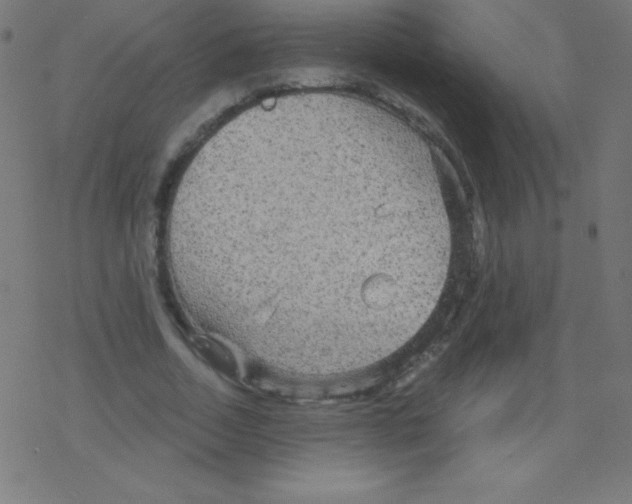 X0000078300730200612011834