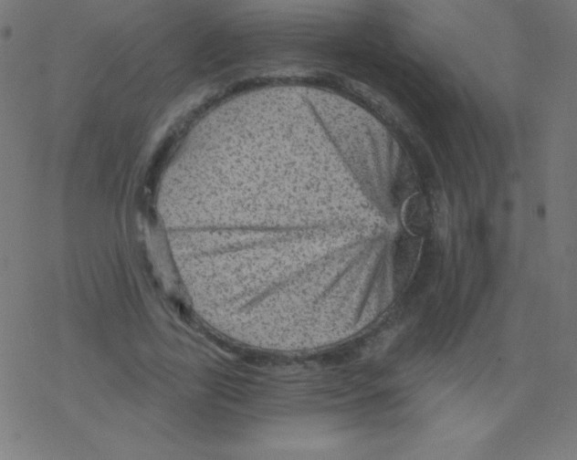 X0000078300731200612011834