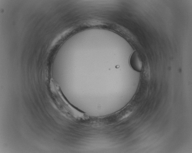 X0000078300732200612011834