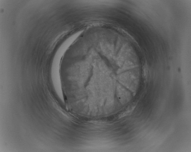 X0000078300733200612011834