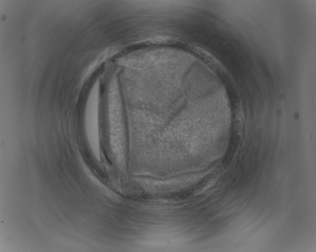 X0000078300734200612011834