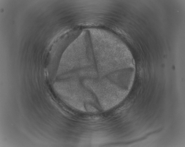 X0000078300735200612011834