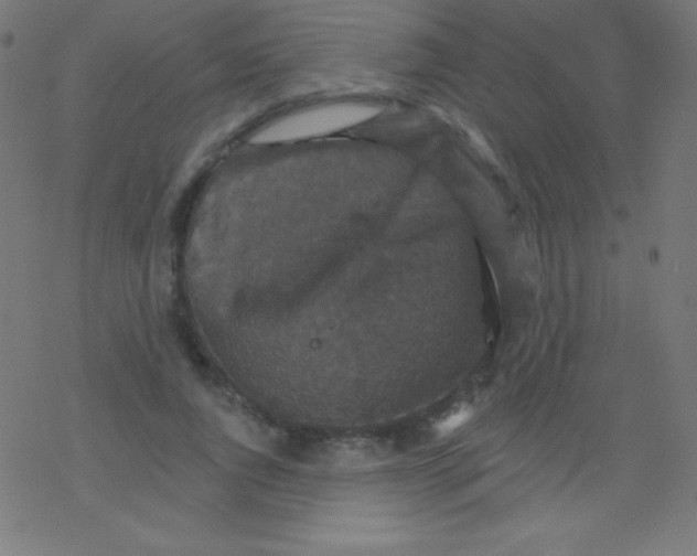 X0000078300736200612011834