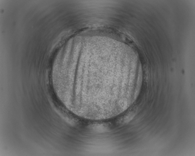 X0000078300738200612011834