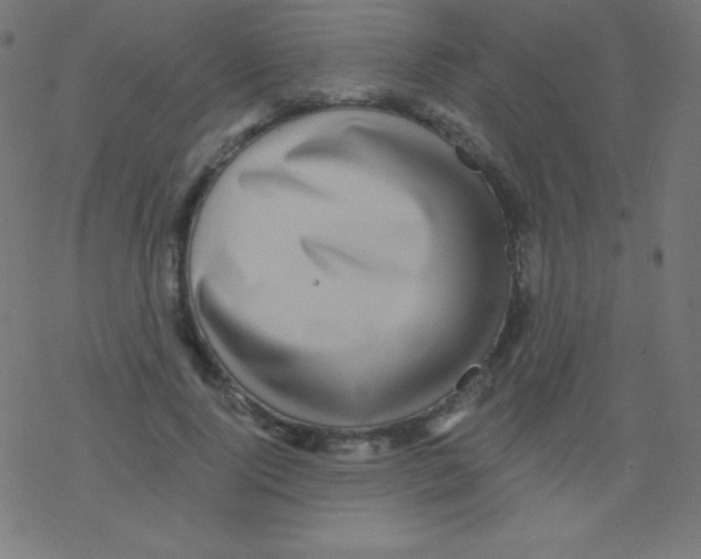 X0000078300740200612011834