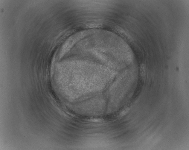 X0000078300741200612011834