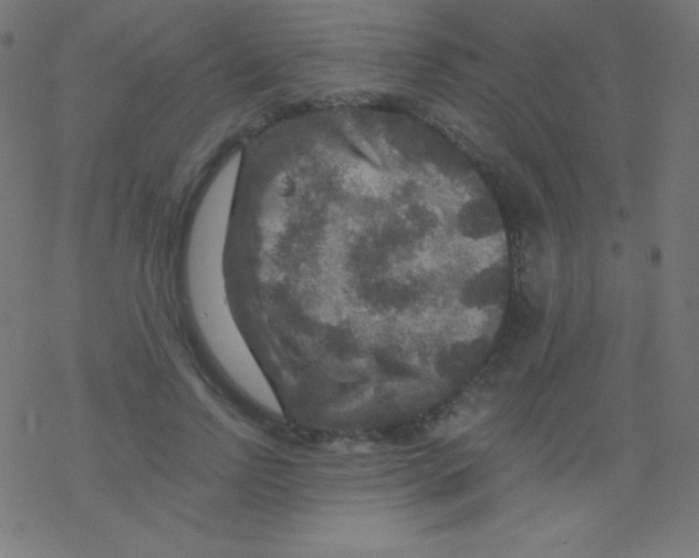 X0000078300742200612011834