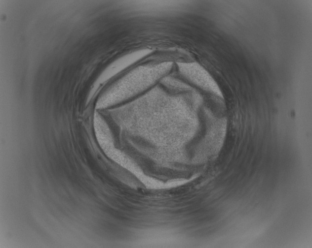 X0000078300743200612011834