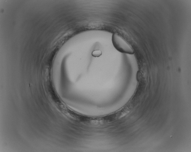 X0000078300744200612011834