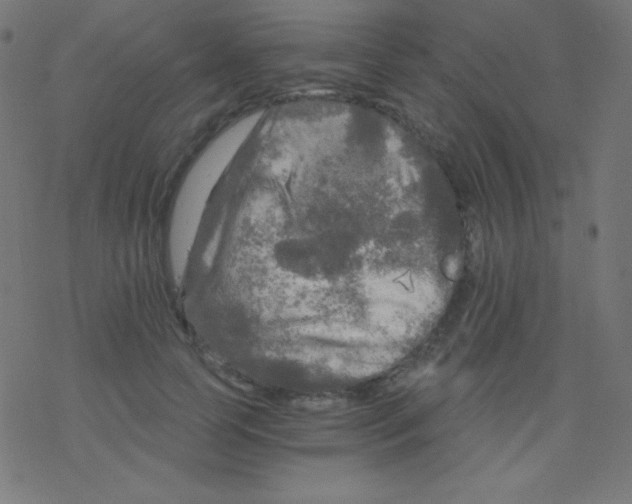 X0000078300745200612011834