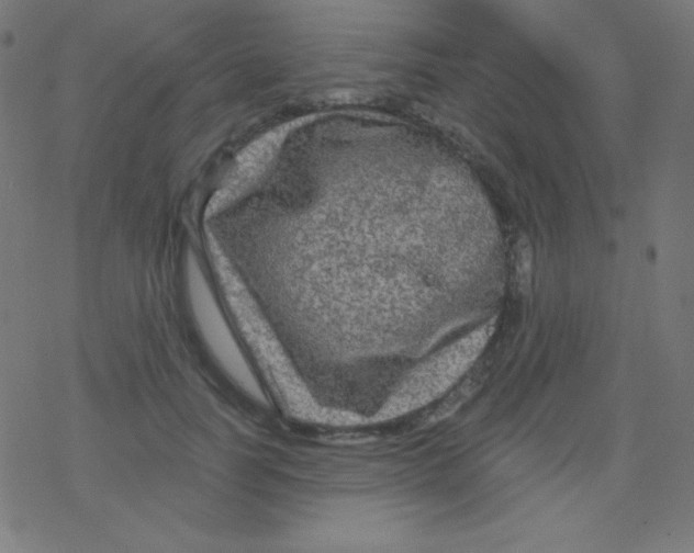 X0000078300746200612011834