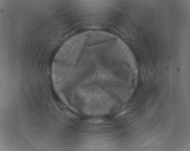 X0000078300747200612011834