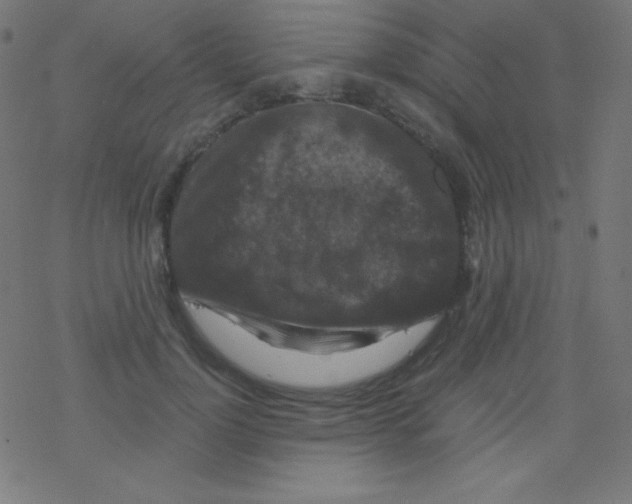 X0000078300748200612011834