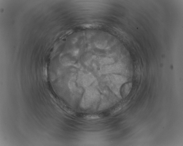 X0000078300749200612011834