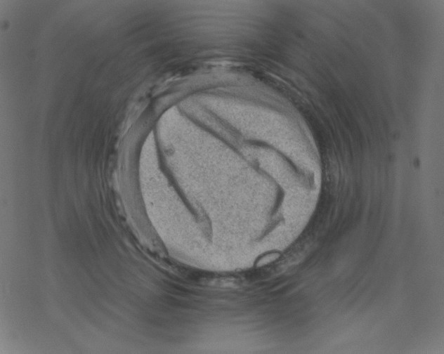 X0000078300751200612011834