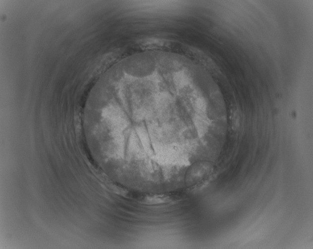 X0000078300753200612011834