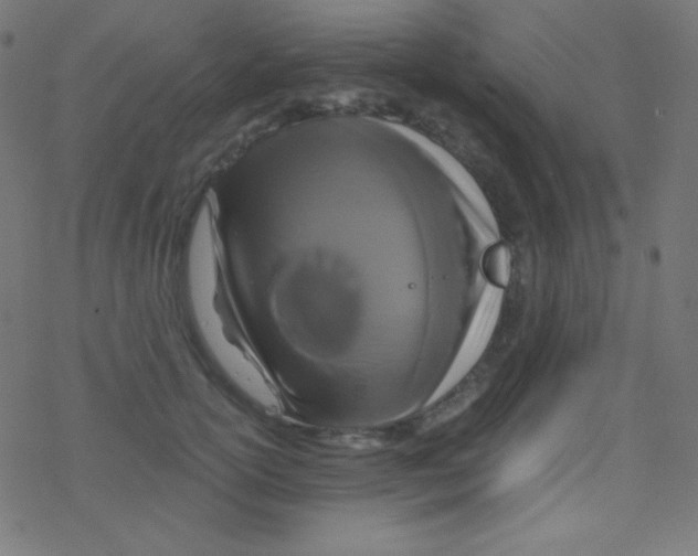 X0000078300754200612011834