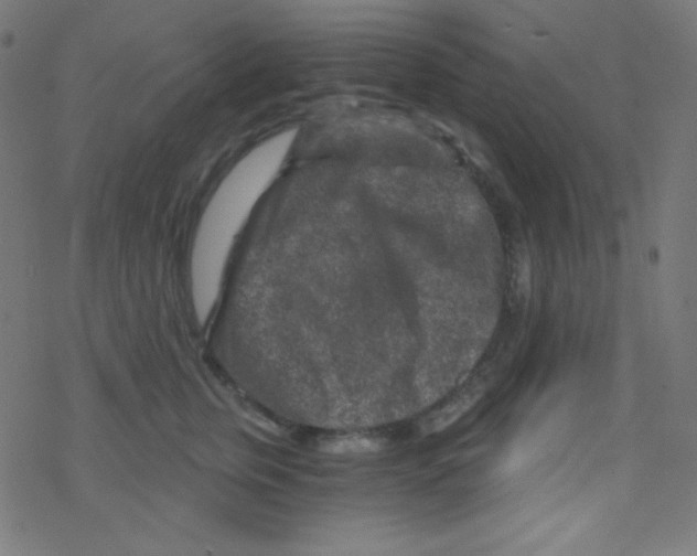 X0000078300759200612011834