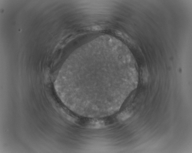 X0000078300760200612011834