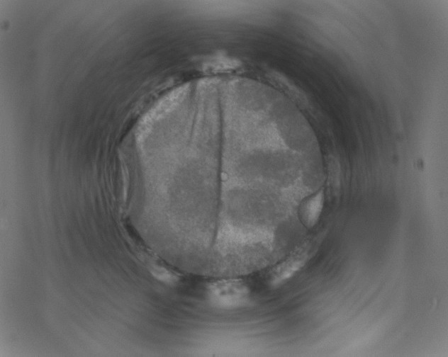 X0000078300761200612011834