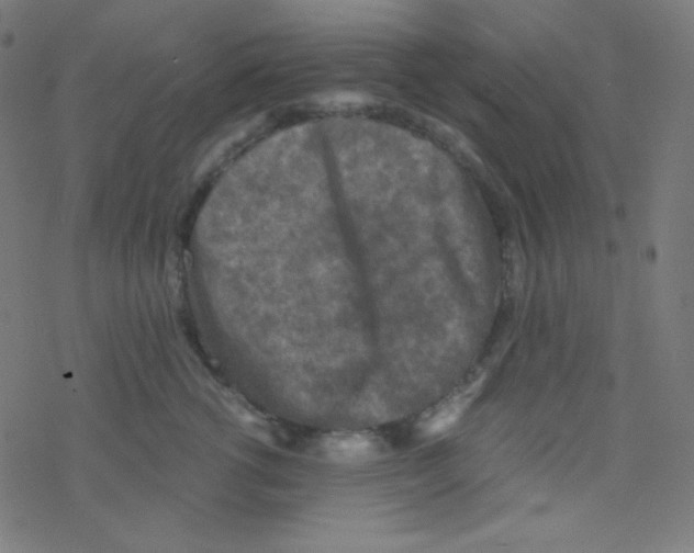 X0000078300762200612011834