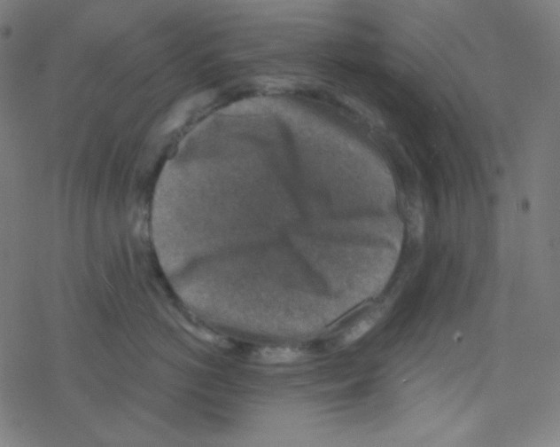 X0000078300766200612011834