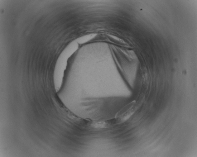 X0000078300767200612011834