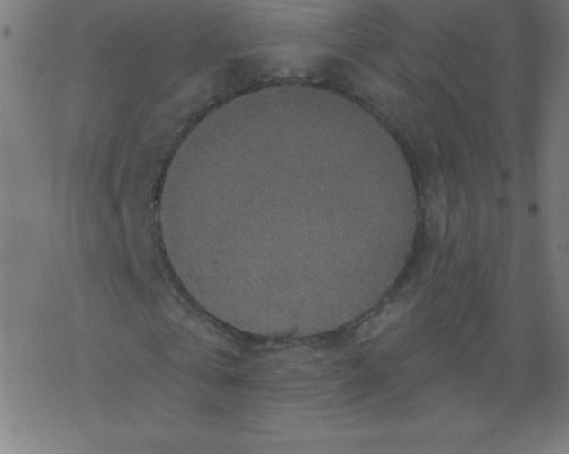 X0000078300769200612011834