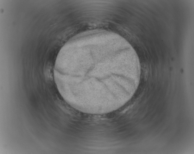 X0000078300770200612011834