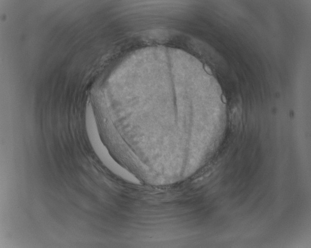 X0000078300772200612011834