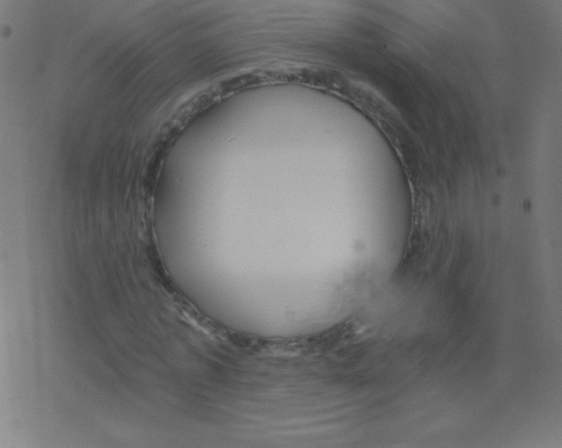 X0000078300773200612011834