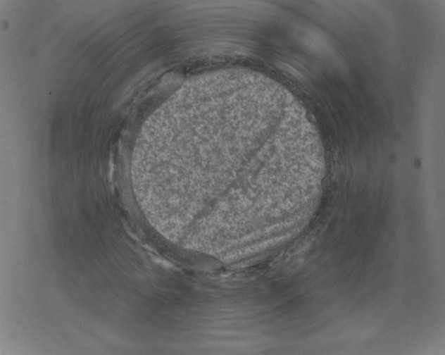 X0000078300774200612011834