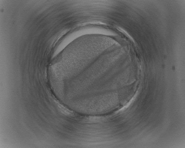 X0000078300777200612011833