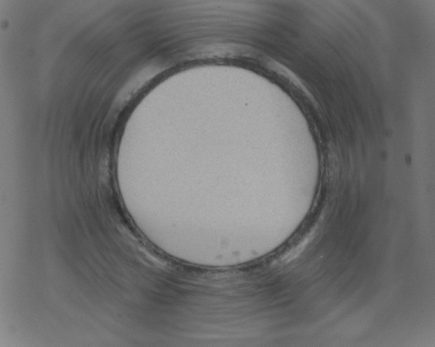 X0000078300778200612011833