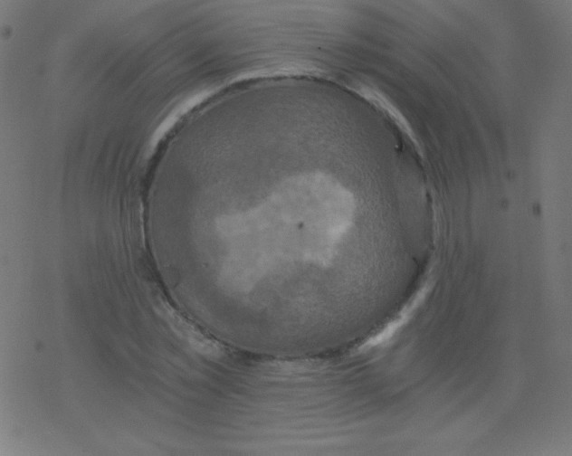 X0000078300781200612011833