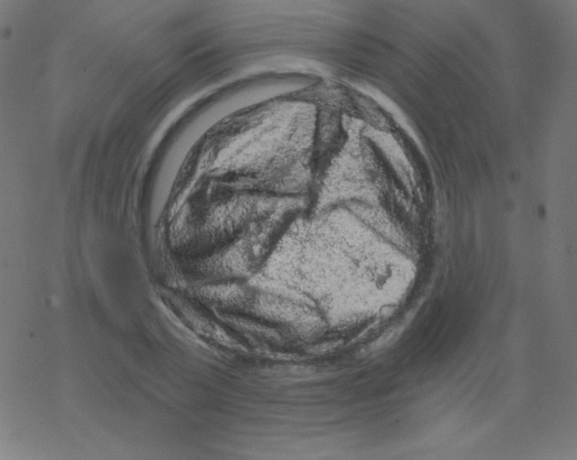 X0000078300783200612011833