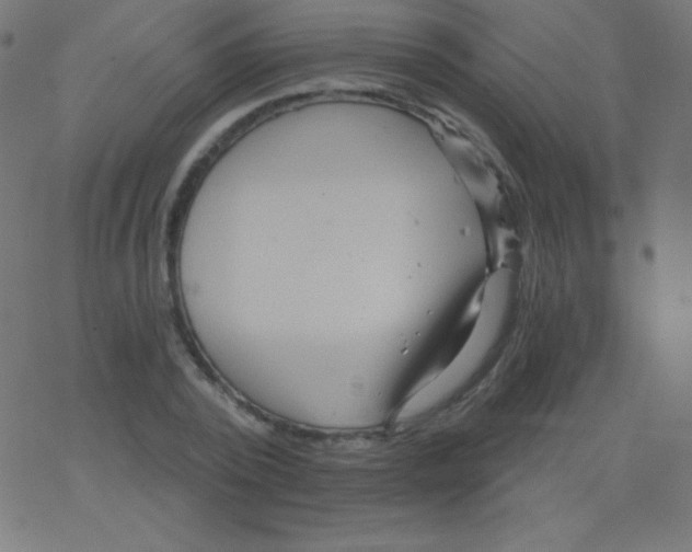 X0000078300784200612011833