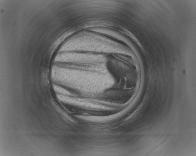 X0000078300786200612011833