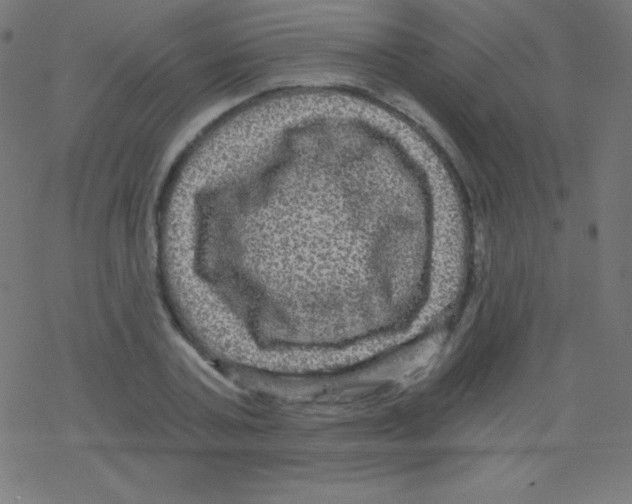 X0000078300787200612011833