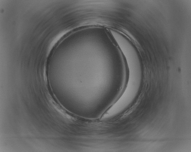 X0000078300788200612011833