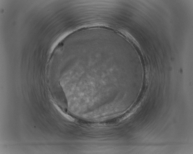 X0000078300789200612011833