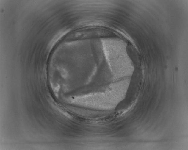 X0000078300790200612011833