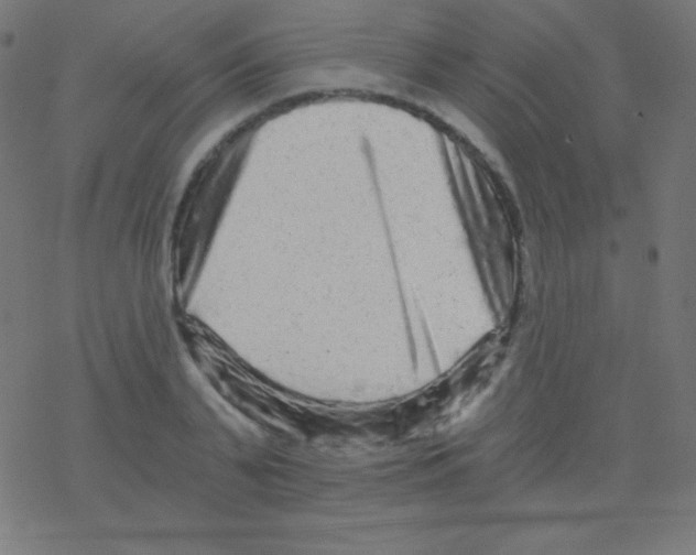 X0000078300791200612011833