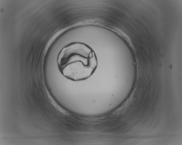 X0000078300792200612011833