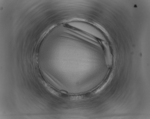 X0000078300793200612011833