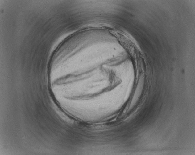 X0000078300795200612011833