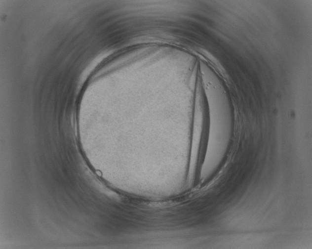 X0000078300796200612011833