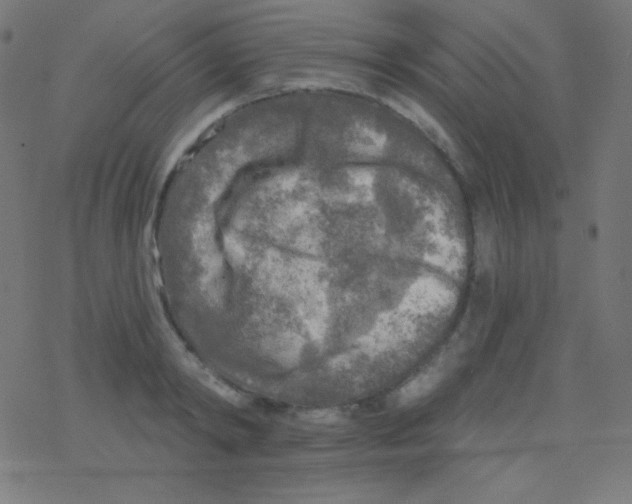 X0000078300798200612011833