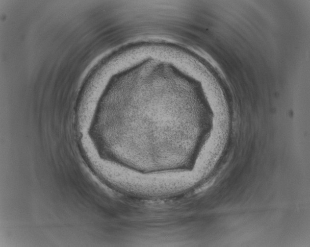 X0000078300799200612011833