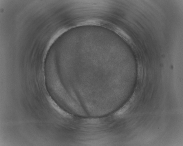 X0000078300800200612011833